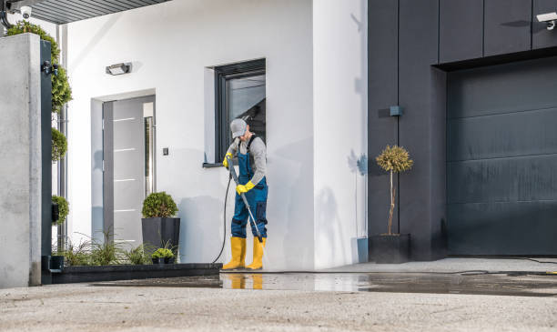 Best Animal Enclosure Cleaning  in Puxico, MO